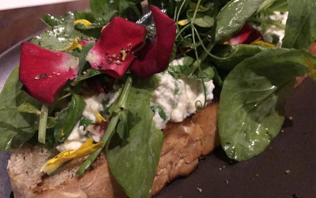 Top 10 San Antonio Foodies to Follow