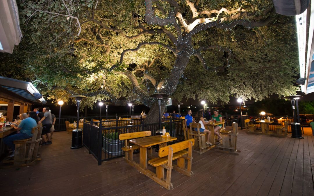 Whiskey Tree Bar & Grill Six Month Case Study