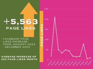 Charts: This chart helps with the visual representation of the Facebook account over the past year.