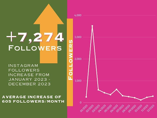 This chart will help to visualize the growth of the Instagram account for Rosarios.