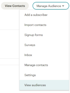 Audience Dashboard Screenshot