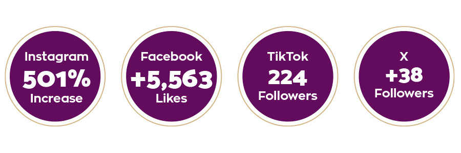 social media growth social media growth