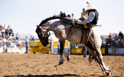Group Dining for Stock Show & Rodeo: Best San Antonio Stock Show Restaurants for Large Parties