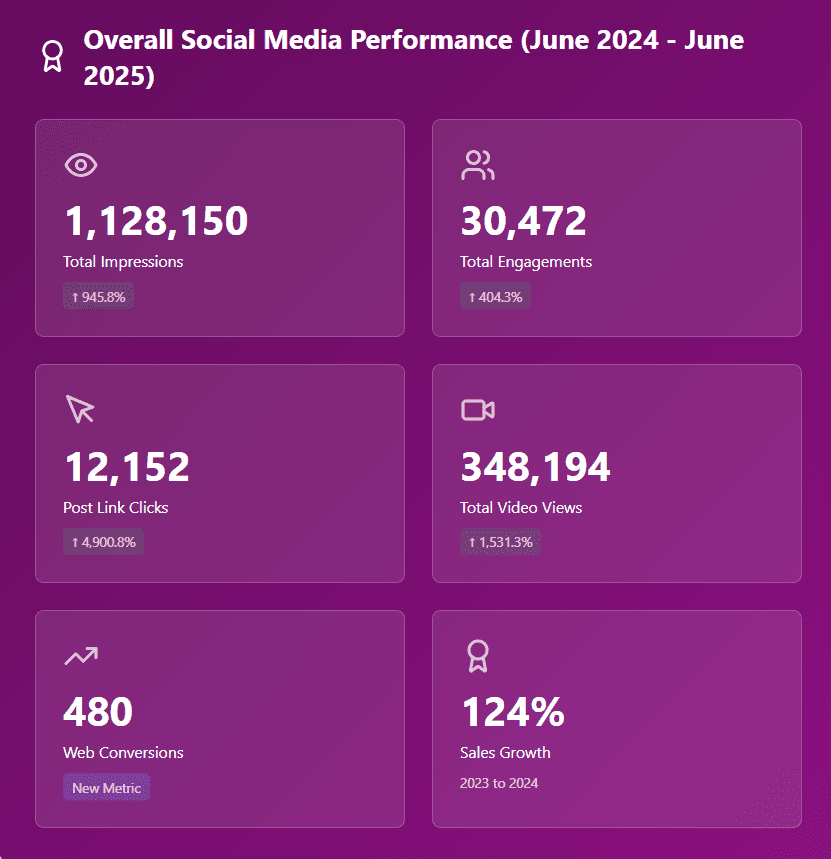 Salsa De Leon Overall Social Media Performance Highlights Salsa De Leon Overall Social Media Performance Highlights 2025
