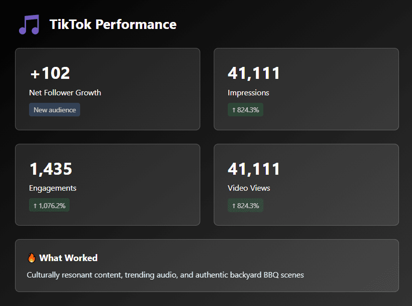 Salsa De Leon TikTok Performance Metrics Salsa De Leon TikTok Performance Metrics