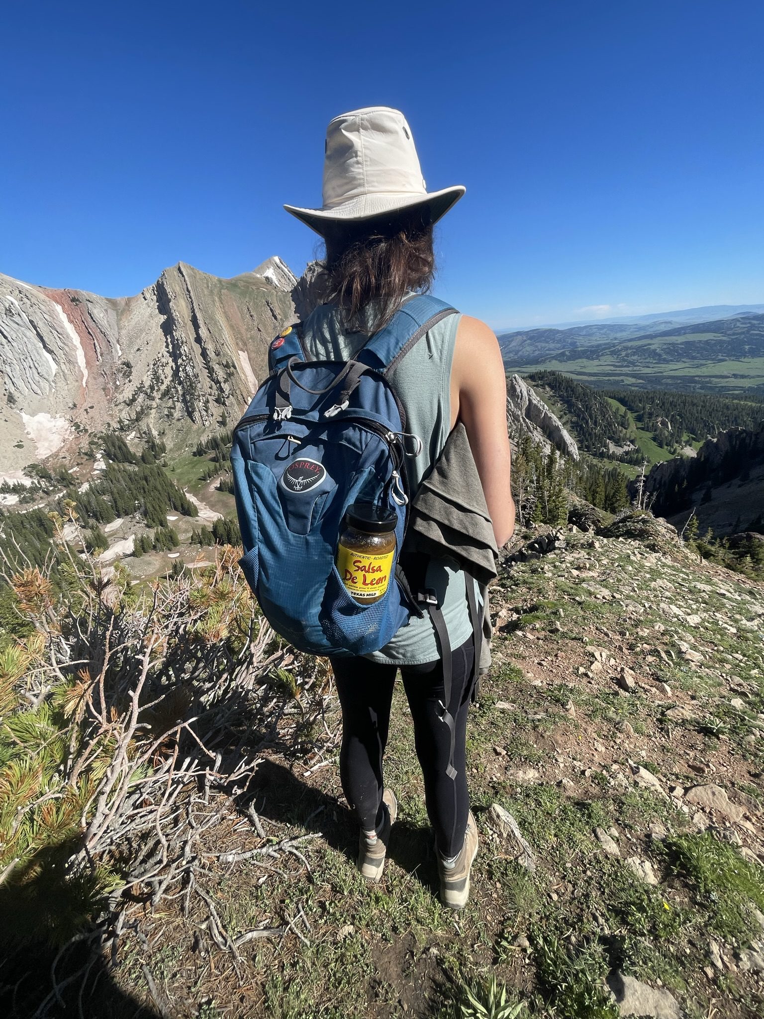 Salsa De Leon on the go Salsa De Leon on the go