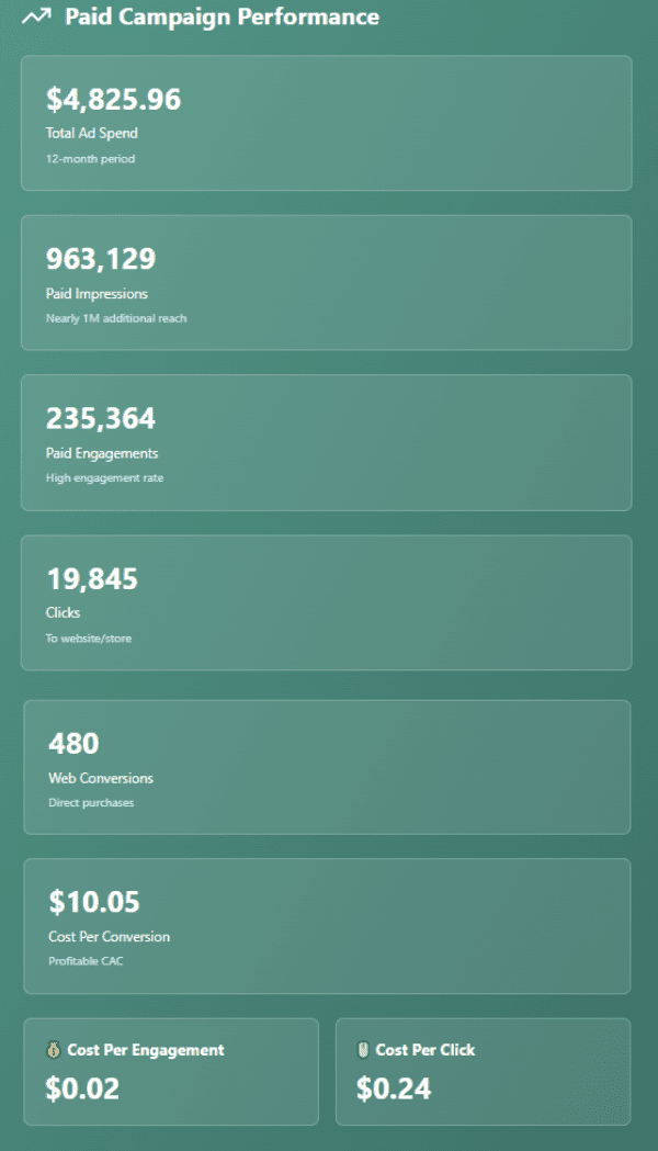 Salsa De Leon overall paid meta ads Salsa De Leon overall paid meta ads