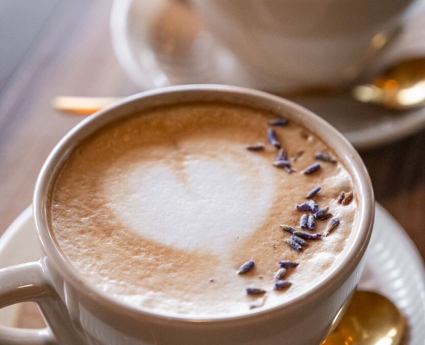 How Embark Marketing Grew a San Antonio Restaurant Brand by 16% in One Year